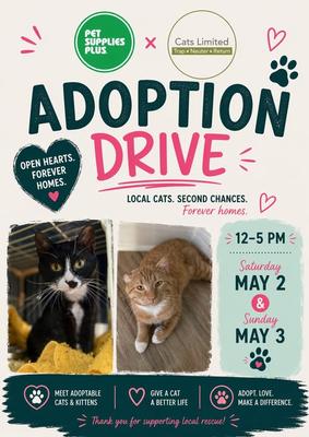 Animal-Loving Student Volunteers Wanted!